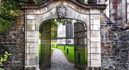 motorisation de portail