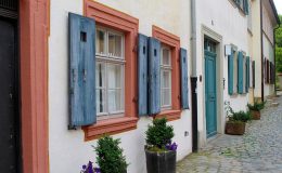 fenêtres en bois