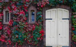 Tout ce que vous devez savoir sur les portes palières