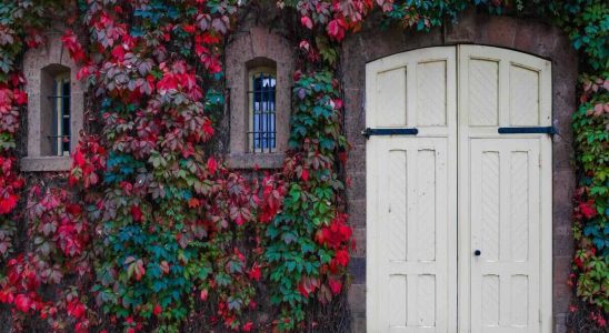 Tout ce que vous devez savoir sur les portes palières