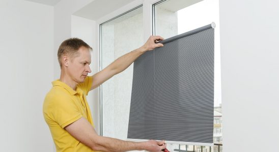 1-5 étapes pour protéger votre maison avec une moustiquaire de fenêtre