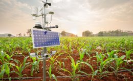 Comment utiliser les alarmes et les capteurs pour protéger les installations électriques agricoles