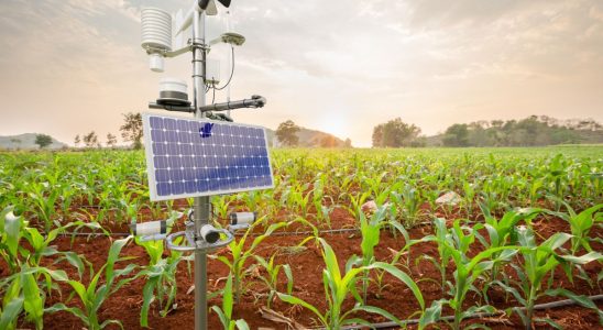 Comment utiliser les alarmes et les capteurs pour protéger les installations électriques agricoles