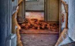 découvrez notre sélection de fenêtres et portes en métal alliant élégance et robustesse. parfaites pour apporter une touche contemporaine à votre intérieur tout en assurant une isolation optimale. idéales pour les projets résidentiels et commerciaux.