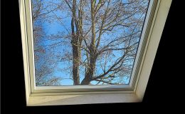 découvrez la luminosité et le confort à travers nos fenêtres de toit velux. idéales pour transformer votre espace sous-pente, elles apportent lumière naturelle et ventilation optimale. explorez nos solutions pour améliorer votre bien-être à la maison.