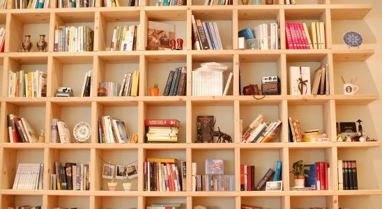 découvrez notre service de créations de bibliothèques sur mesure, alliant design unique et fonctionnalité optimale. transformez votre espace de vie avec une étagère personnalisée qui répond à vos besoins et à votre style.