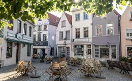 découvrez tout sur le paving : techniques, matériaux et conseils pour réussir la pose de pavés et sublimer vos espaces extérieurs avec un revêtement durable et esthétique.