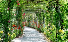 découvrez comment la pergola peut transformer votre espace extérieur en un lieu agréable et ombragé. conseils, inspirations et informations pour choisir la pergola idéale adaptée à vos besoins et à votre jardin.