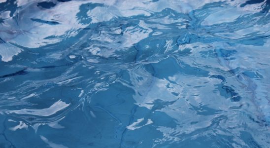 protégez et sécurisez votre piscine toute l'année grâce à une couverture de piscine de qualité. découvrez les différents types de pool covers pour préserver la propreté de l'eau et assurer la sécurité de votre bassin.