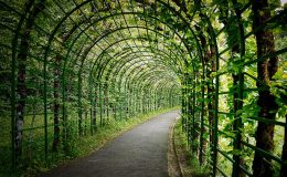 découvrez comment choisir et installer une pergola pour profiter pleinement de votre espace extérieur. conseils, idées et solutions pour embellir votre jardin ou terrasse avec une pergola adaptée à vos besoins.