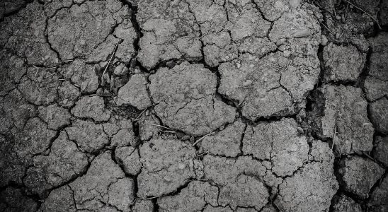 découvrez les techniques efficaces d'excavation pour les sols argileux afin d'assurer des travaux stables et durables.